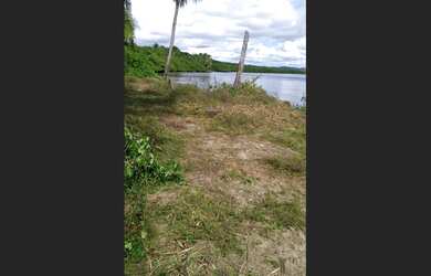 Imagem 2: Fazenda paraíso 2 rio da dona