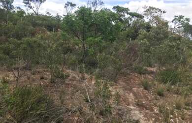 Imagem 2: Lote/chácara em ravena, Sabará-MG