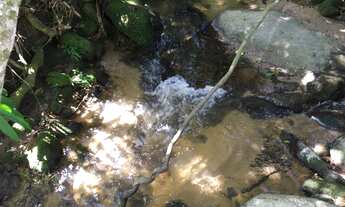 Imagem 6: Terreno com Córrego