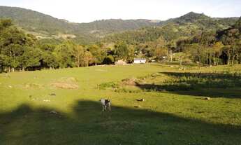 Imagem 6: Vende-se chacara