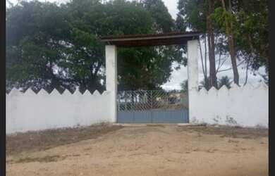 Imagem 7: Fazendinha Top !