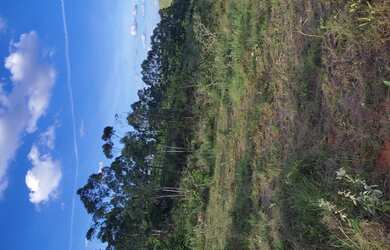 Imagem 6: Terreno de 20 há em São Tiago MG