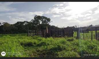 Imagem 2: 17 alqueires com 15 abertos pronta fica a 30 km de Castanhal-PA por R$1.300.000