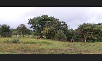 Imagem 4: 1.036 Alqs Abertos Planta Soja Plana Região d Gurupí TO