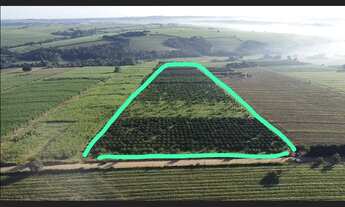 Imagem 7: Sitio proximo cidade com 11,6 has Artur Nogueira SP