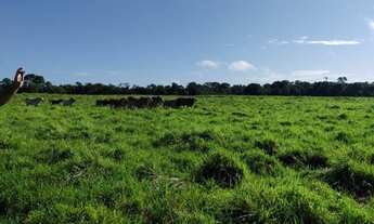 Imagem 4: Fazenda 340 alqueires porteira fechada no Pará documentada R$22 milhões