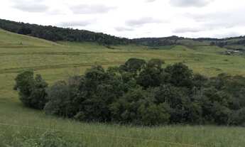 Imagem 6: Ótima fazenda - Dom Viçoso - Minas Gerais
