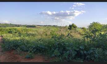 Imagem 5: Sitio 20 mil metros em Holambra SP