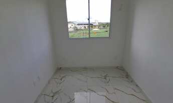 Imagem 4: Viva Vida Flores