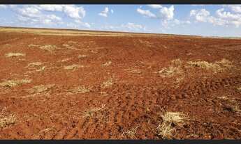 Imagem 6: Vende-se lote de terra ROXA entre Boa Esperança e Farol - 42,8 alqueires/103 hectares