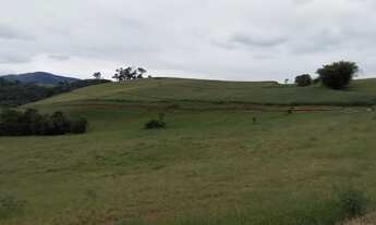 Imagem 7: Ótima fazenda - Dom Viçoso - Minas Gerais