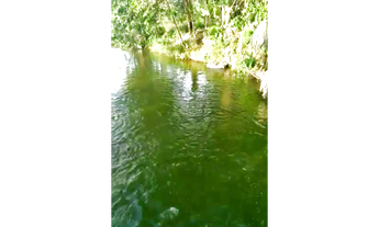 Imagem 6: 100 Alqs Formada Beira Rio Região Barra do Ouro TO