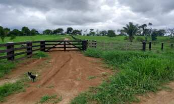 Imagem: Vendo terra com 128 hectares com 120 formada