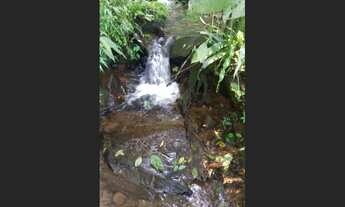 Imagem: Sítio em Morro Reuter com 13,5 hectares