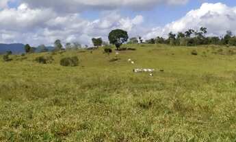 Imagem 5: Fazenda Itapé/BA