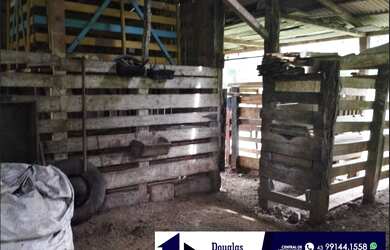 Imagem 5: Santa Maria do Oeste, Paraná, Brazil