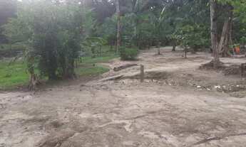 Imagem 5: Vendo Terreno com Casa, Balneário e Plantações de Açaí