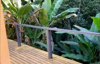 Imagem 3: Casa quarto e sala para locação em Pedro do Rio-Petrópolis/RJ