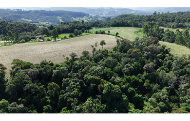 Imagem 5: Terreno rural 30.000 m² com vista para Rio do Sul - SC