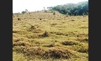 Imagem 5: Fazenda de 130 ha em Oliveira
