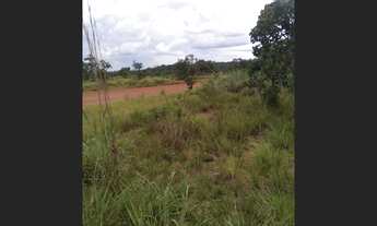 Imagem 3: Fazenda no municipio de Araguacema - TO