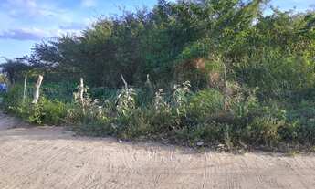 Imagem 2: Área para loteamento em Irará