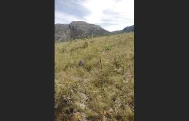 Imagem 2: Lote cercado condominio