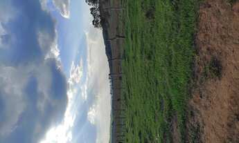 Imagem 7: Terreno de 69 há em oliveira MG