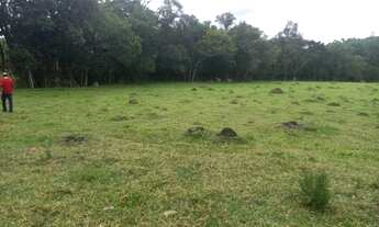 Imagem 3: Terreno de 13 há em Passa Tempo MG