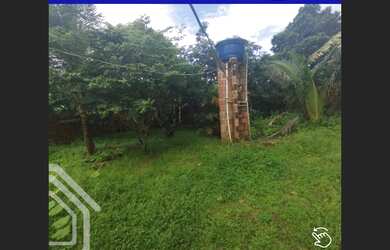 Imagem 4: EXCELENTE CHÁCARA DISPONÍVEL PARA VENDA EM UBAJARA