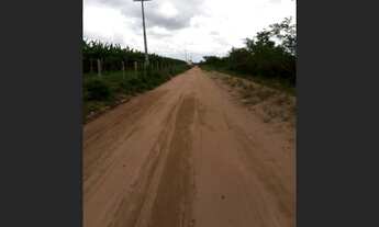 Imagem: Terreno Plano 17,5 Tarefas Biritinga-Ba