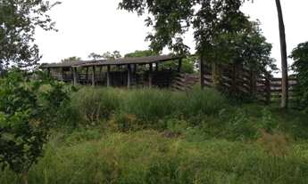 Imagem 4: Fazenda com 200 hectares por 1,6 milhões reais na margens da Pa