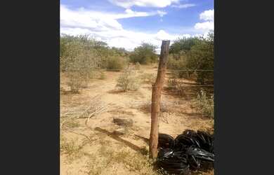 Imagem 3: Vende-se Propriedade Rural em Microregião de Jacobina