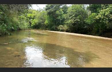 Imagem 3: Fazenda de 51 há em Passa Tempo MG