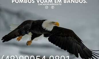 Imagem 2: Casa a venda Paraná Cambé