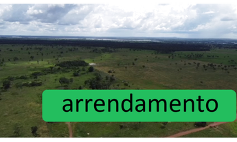 Imagem 4: 185 Alqs Arrendamento Disponivel Pra Soja Vale do Araguaia TO