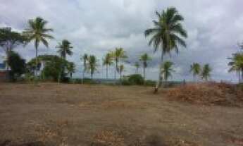 Imagem 4: área 2 hectares a menos de 8 minutos da praia de mangue seco