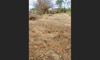 Imagem 4: TERRENO PALMEIRA DOS ÍNDIOS 7,5X16M