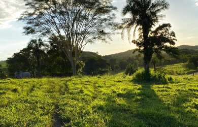 Imagem 2: 32 Alqs Culturão Boa de Água Região Rianópolis GO