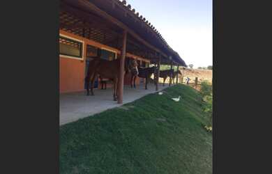 Imagem 5: 3 Portos de Extração de Areia no Leito do Rio