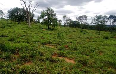 Imagem 5: Terreno de 15 ha em Itaguara MG