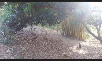 Imagem 2: Chácara Chácara com venda por R$16.000.000