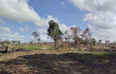 Imagem 6: Sítio com 50 hectares na estrada de igarapé açu por 400 mil reais documentada