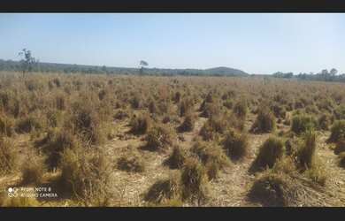 Imagem 3: 265 Alqs Ótima Água Terra e Logística Região Silvanópolis TO