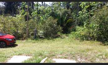 Imagem 7: Manaus, BR174 Km21, Ramal Pau Rosa Km9, Sítio Bom Jesus, Chácara 35