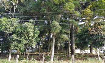 Imagem 7: Vendo lote com 1426 m2 (31x46) em Teixeira Soares, Paraná