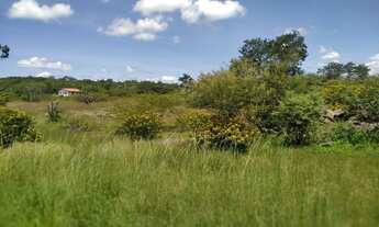 Imagem 3: Sítio Olaria - Pedro II - PI - Brasil