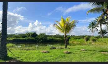 Imagem 5: Fazenda na região jaguaripe