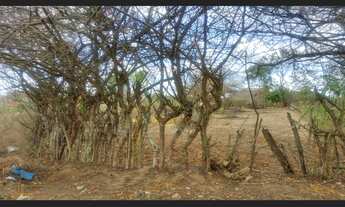 Imagem 2: TERRENO PALMEIRA DOS ÍNDIOS 7,5X16M