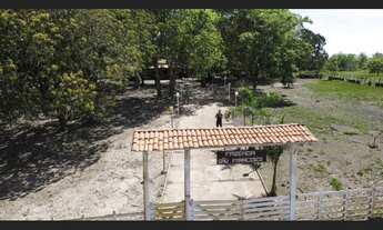 Imagem: VENDE-SE UMA FAZENDA EM BARRAS PIAUÍ, OPORTUNIDADE